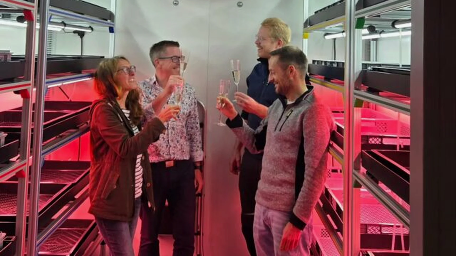 Vertical-Farming-Container mit beleuchteten Anbauregalen