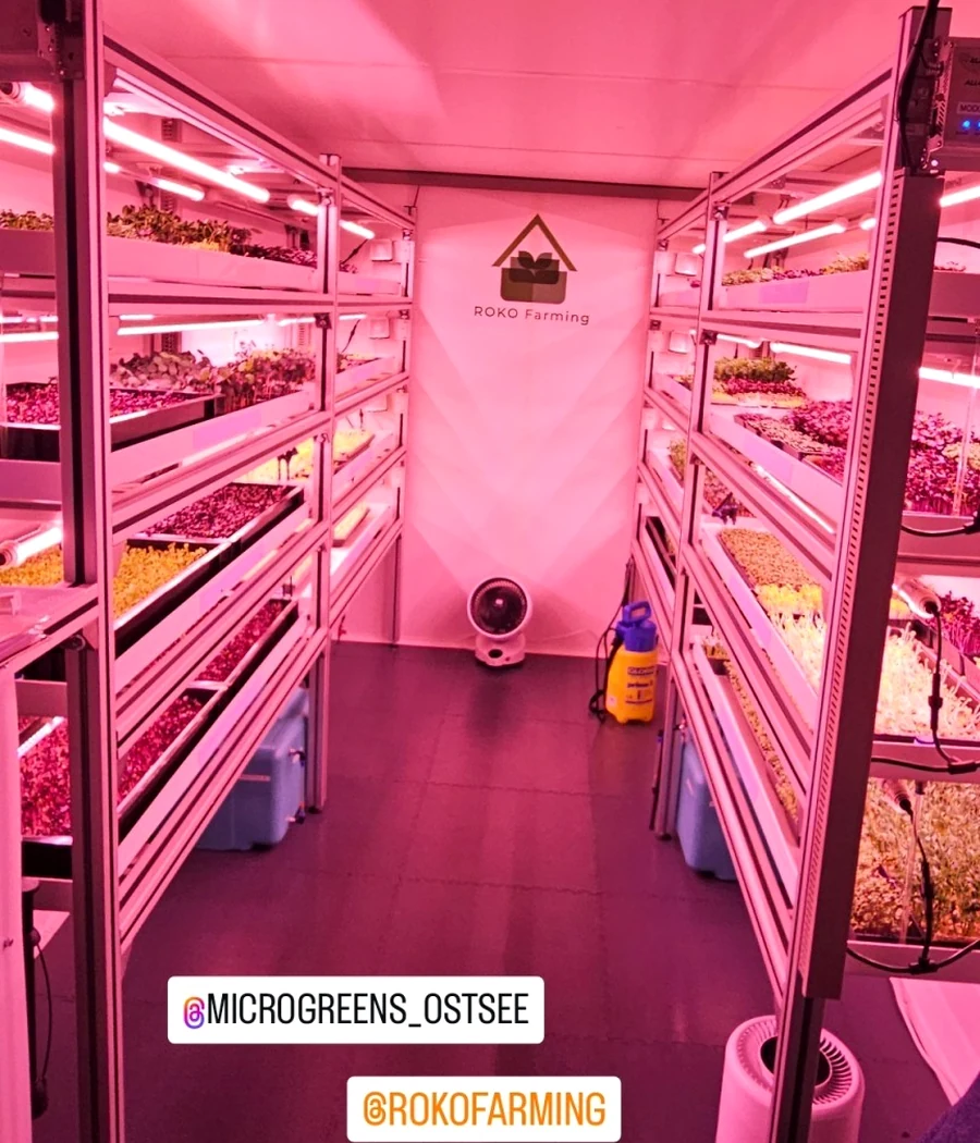 InstaGreen Low-Tech Anbauregalsystem